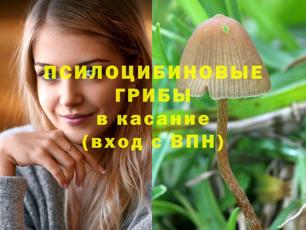 mdma Апатиты