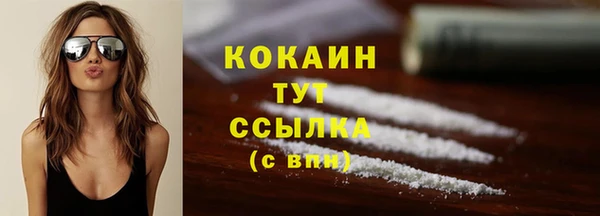 твердый Анжеро-Судженск
