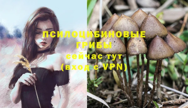 твердый Анжеро-Судженск