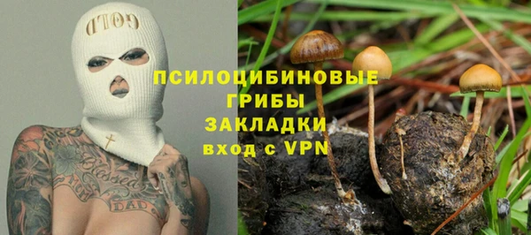твердый Анжеро-Судженск