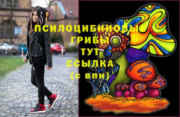 твердый Анжеро-Судженск