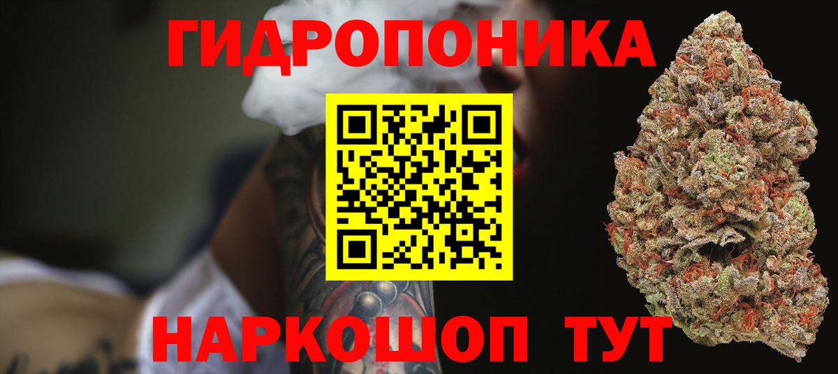 Марихуана конопля Асино